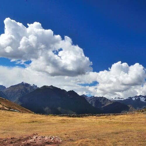 MORAY LANDSCAPE