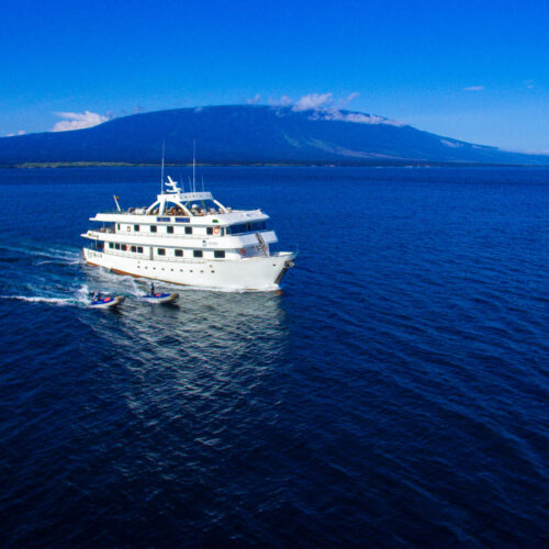 2500_0018_Solaris_Exterior_view_3