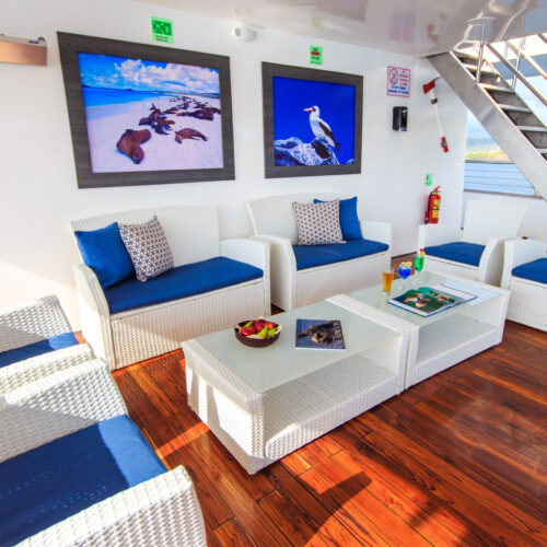 2500_0021_Solaris - shaded resting area-2