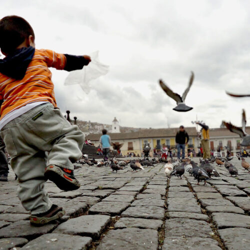 LAT-140_0019_FEEDING PIGEONS