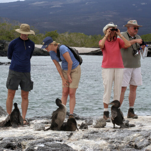 135_0004_GALÁPAGOS PAISAJES FAUNA TURISTAS 046
