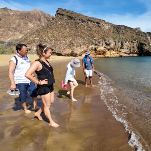 ENDEMIC_0047_DJI_20230625101942_0158_D